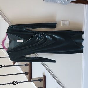 NWT Green Velvet long sleeve Dress